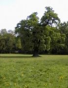 hamborg-turen06_20100922_1095721088