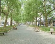 dresden09_20100922_1830819530