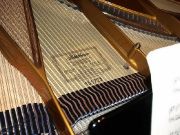 julia09_20100923_1136076462