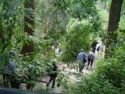 duesseldorf_2_20110524_1337449161