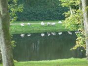 nordjylland_2012_20120930_1158334901