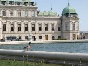 wien_gsj_20120528_1256229969