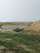 Ringkøbing Fjord tur 2018_8